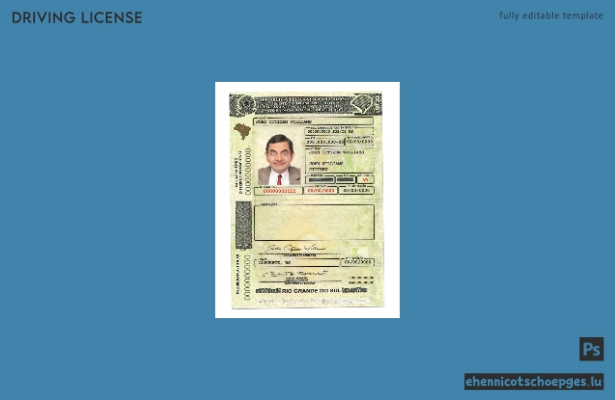 Beispiel für einen Führerschein aus Rio Grandedo, Brasilien
